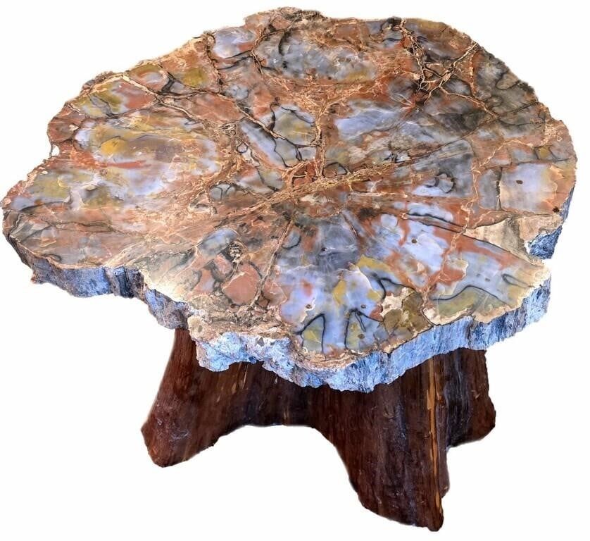 Lot 195382: HEAVY PETRIFIED WOOD TABLE W/ CYPRESS BASE