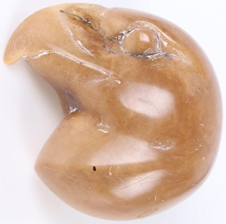 Lot 200384: UNSIGNED HAND-CARVED EAGLE HEAD TAGUA NUT