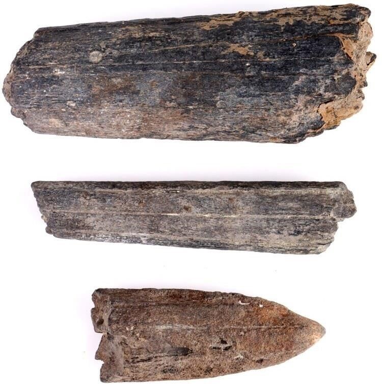 Lot 212394: FOSSILIZED BILLFISH ROSTRUMS -  LOT OF 3