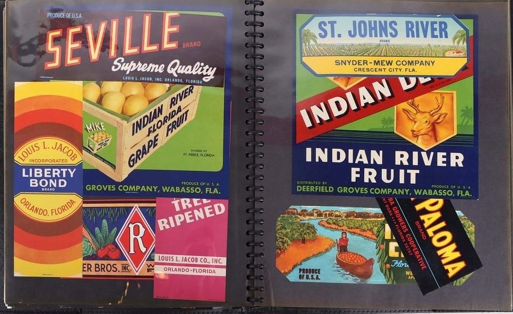 Lot 212443: VINTAGE FLORIDA CITRUS FRUIT CRATE LABEL BINDER