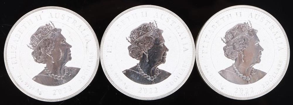 Lot 218160: 2022 AUSTRALIAN FROSTED 2 OZT FINE SILVER COINS(3)