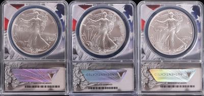 FINE SILVER 1OZT AMERICAN EAGLES ANACS MS-70 - (3). Fine silver 1 Troy ounce American Eagles NGC 