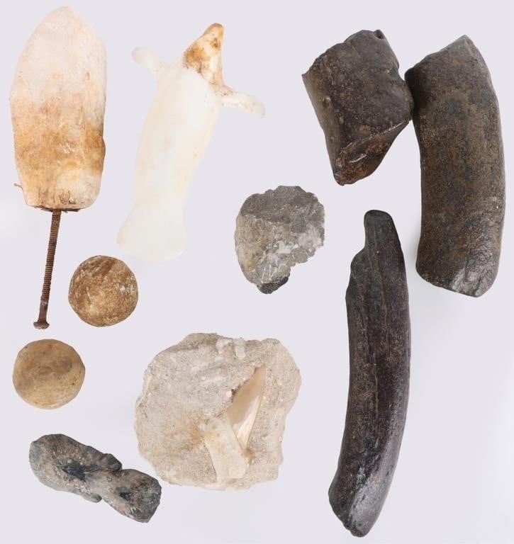 Lot 230531: COLLECTIBLE FOSSILS, CARVINGS & STONES