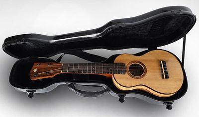 ANAKONEKE CONCERT UKULELE SPALTED TAMARIND W/ CASE. Concert ukulele manufactured by Anakoneke 