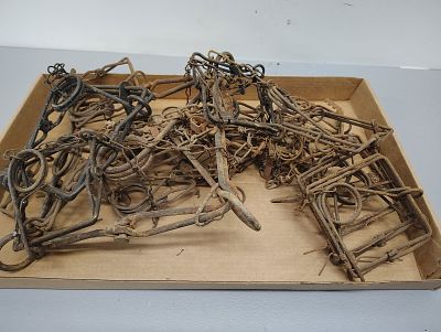 Traps. 14 conibear traps Dimensions: 8 x 26 x 16 in