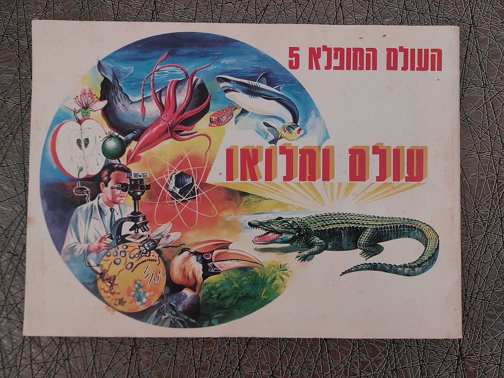 Friedman | Auction 17