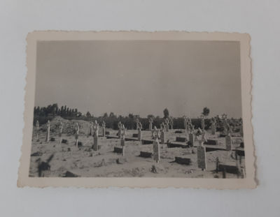 בית קברות בריגדה- תצלום מיוחד של בית העלמין לנופלי הבריגדה היהודית. על המצבות מתנוסס מגן דוד. 