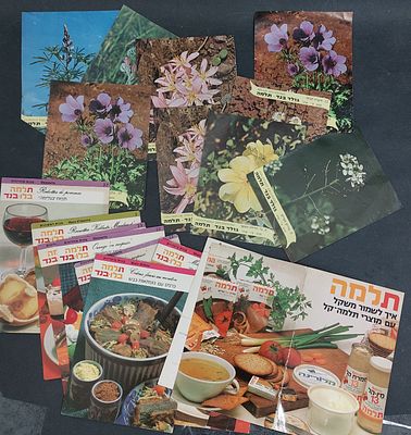 לוט ניירת חברת בלו -בנד 
קלפים וקלפי מתכונים ישנים