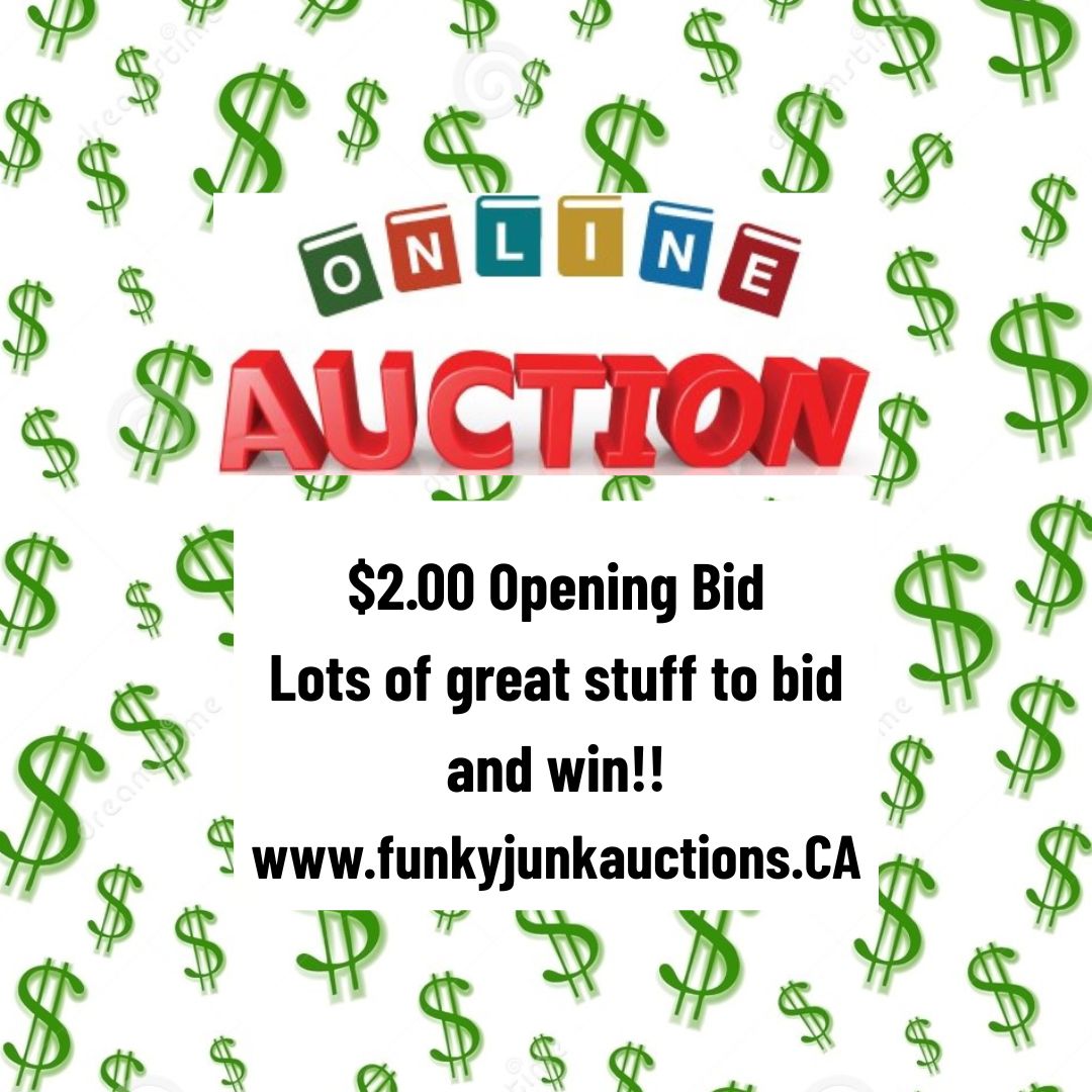 Funky Junk Auctions | Auction 309 | $2.00 Sale