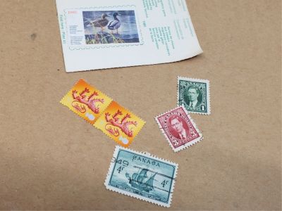 Lot of Old Stamps