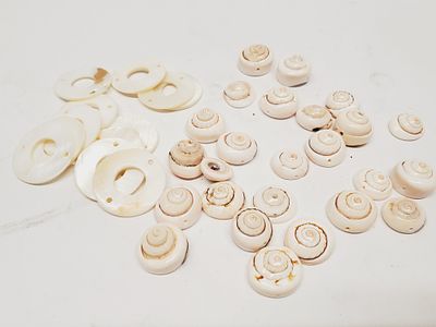 Sea Shell and Mother of Pearl Beads