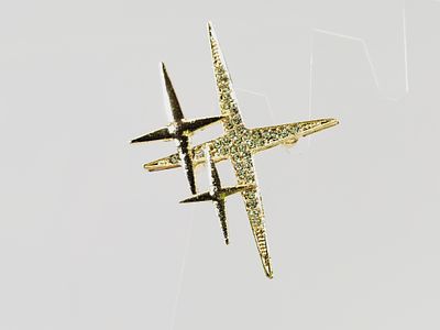Crystal Brooch