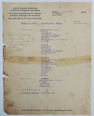 מסמך רשמי – ההסתדרות הציונית של הונגריה, הוועד הכלכלי לארץ ישראל, בודפשט 1933. עמוד שני מתוך 
