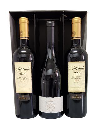 מארז יינות אדומים – יקבי ברקן ו- סגל - קברנה סוביניון | ישראל
Altitude 624 - Altitude 720 - 