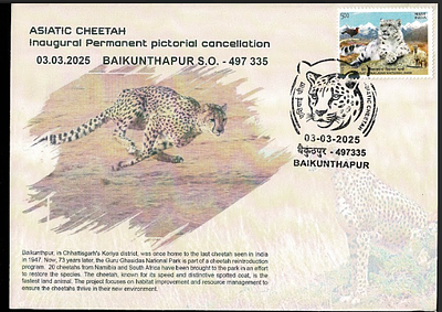 Asiantic Cheetah BAIKUNTHAPUR - Inaugural Day Permanent Pictorial &amp; Special Place 
