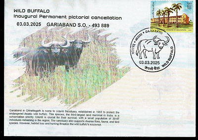 Wilf Bufflow Inaugural Day Permanent Pictorial &amp; Special Place Cancellation Cover