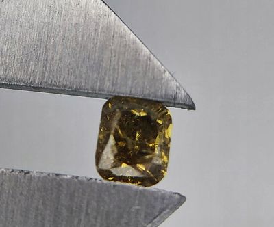 NATURAL BRILLIANT DIAMOND 0.24 CT P2 GROSS VALUATION: $1070 USD. The subject of the offer is a 