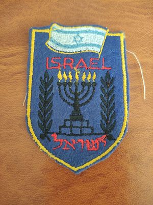 תג רקום עם סמל מדינת ישראל. מעוצב עם מנורה דגל ישראל וענפי זית. התג במצב טוב מאוד.