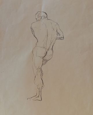 Пинкисевич Пётр Наумович - Мужская модель. 1950-е гг. . Бумага, тушь, перо. 
30 х 21