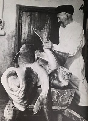 Евзерихин Эммануил Ноевич - Фотография - Каспийская рыба. 1936 г. 41,1 х 28,6