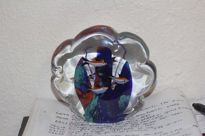 Large Art Glass Fish Paperweight. 5" x 5"