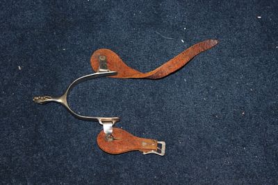 A Spur. as shown