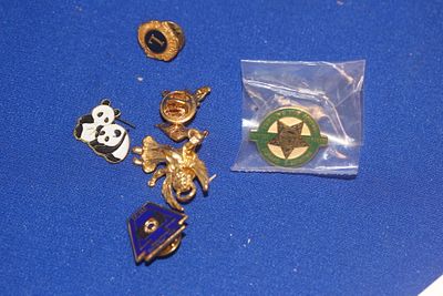Lot of Pins and Tie Tags. as shown