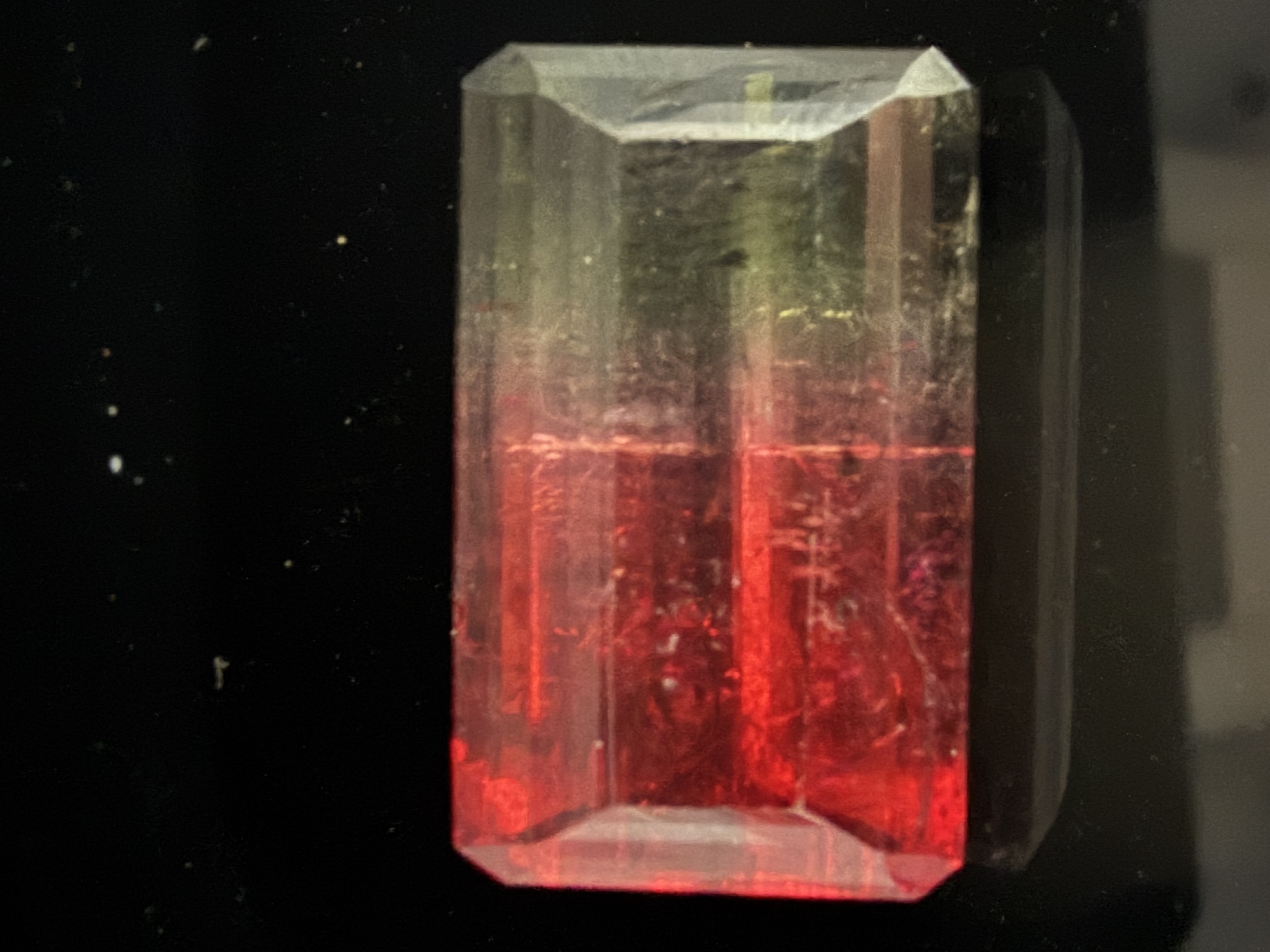 Fantastic 31 Carat Watermelon Tourmaline