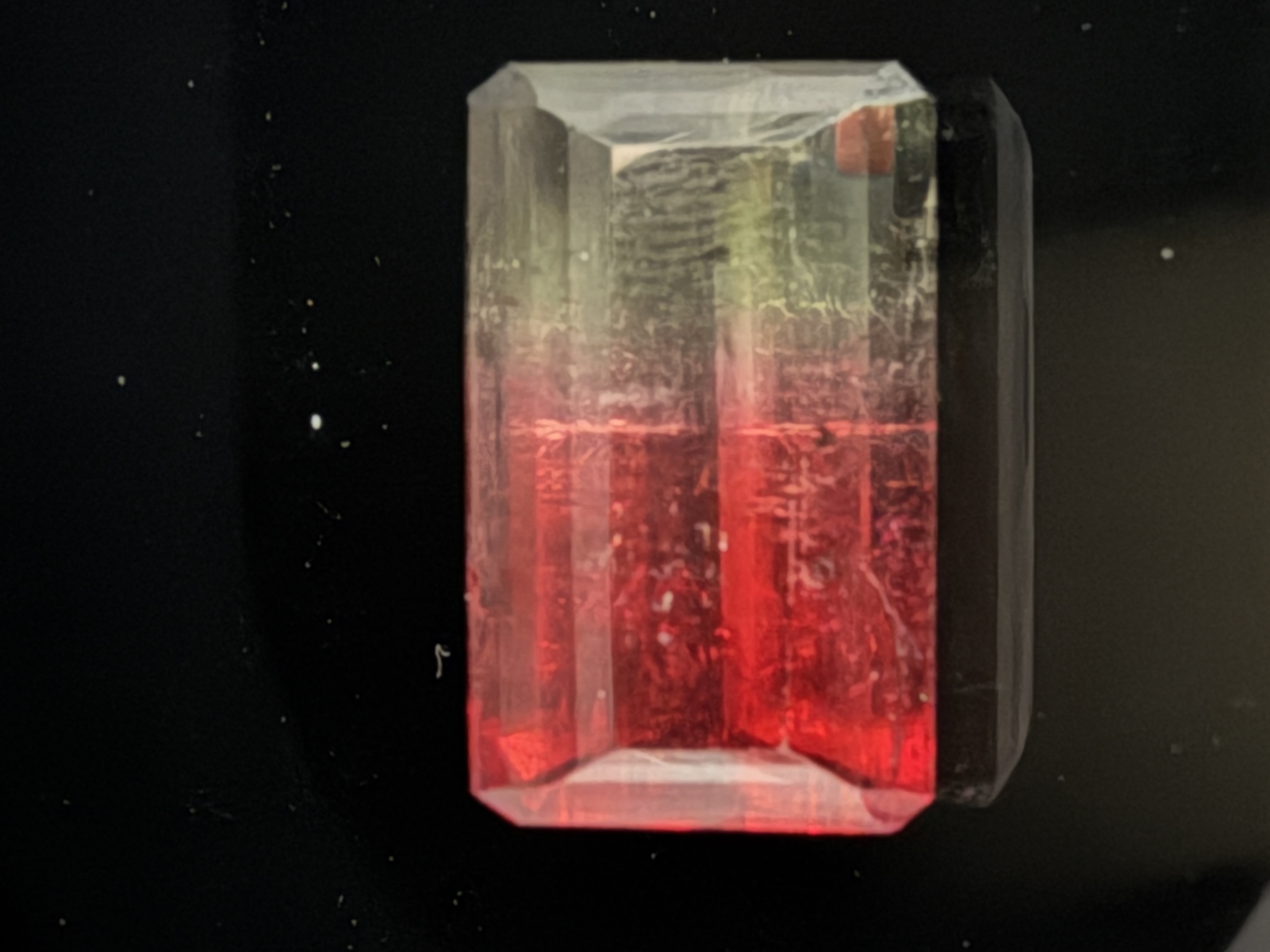 Fantastic 31 Carat Watermelon Tourmaline