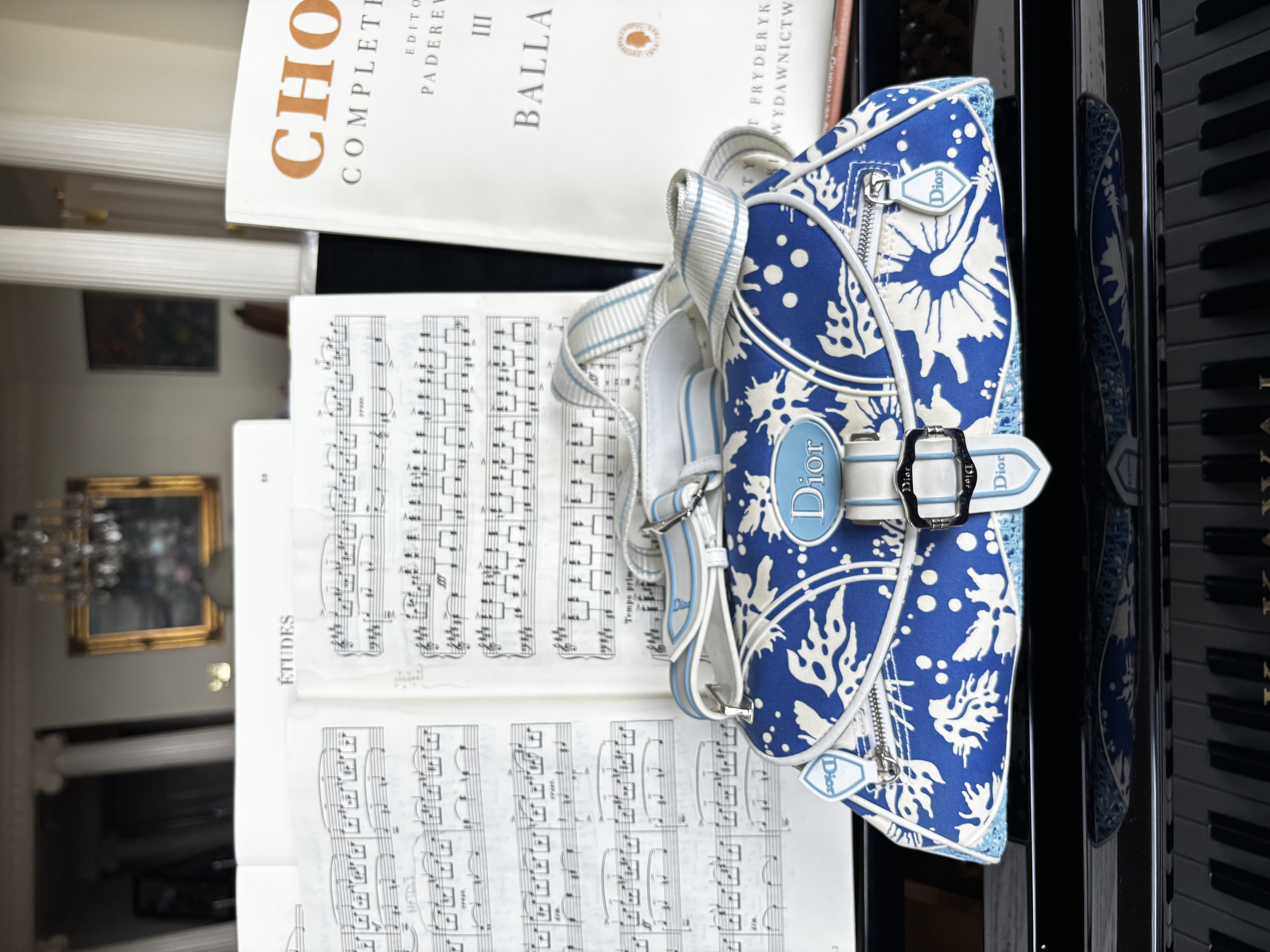 Christian Dior Vintage Blue and White Surf Chick Floral Canvas Flight Bag