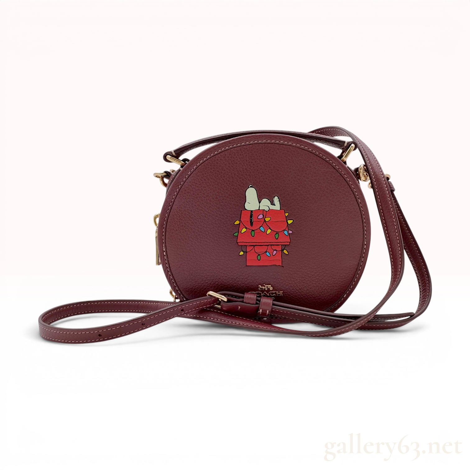 Coach x Peanuts Canteen Crossbody Bag with Snoopy Graphic