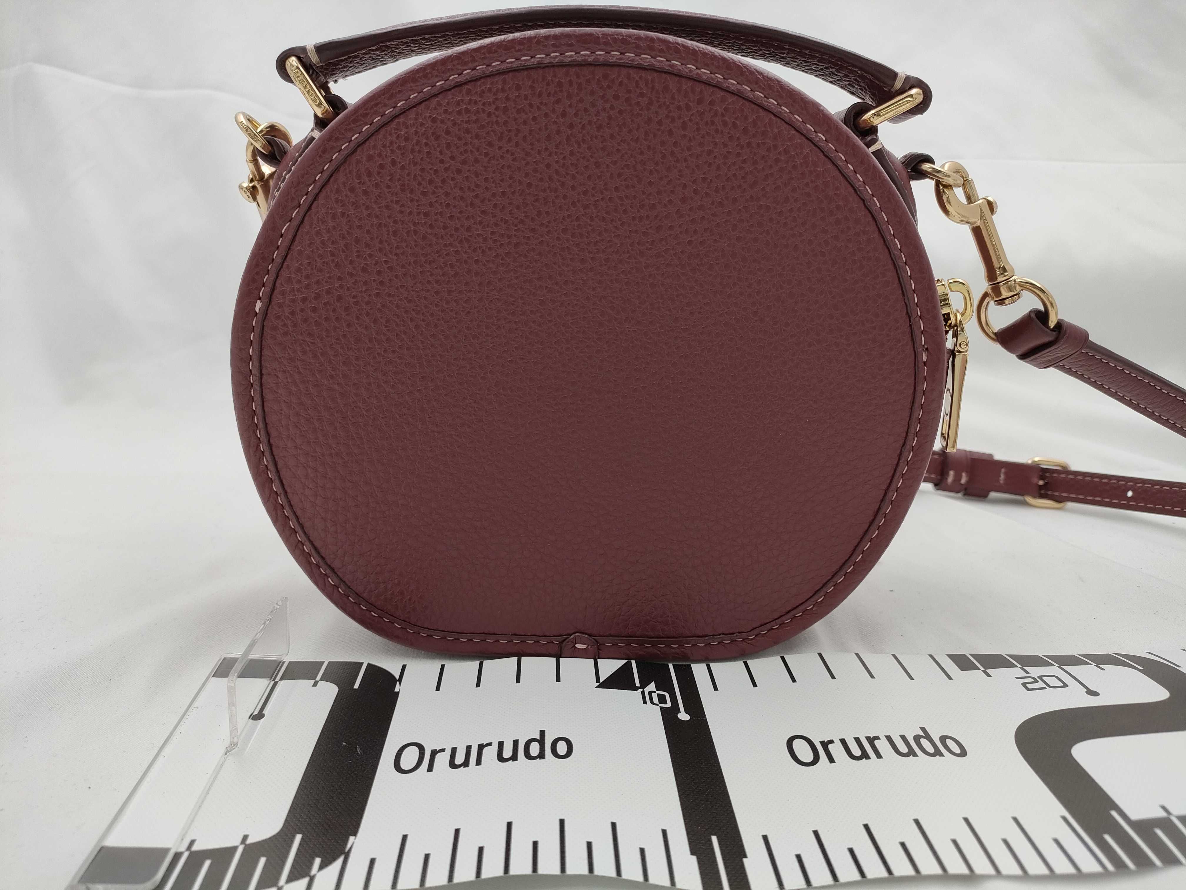 Coach x Peanuts Canteen Crossbody Bag with Snoopy Graphic