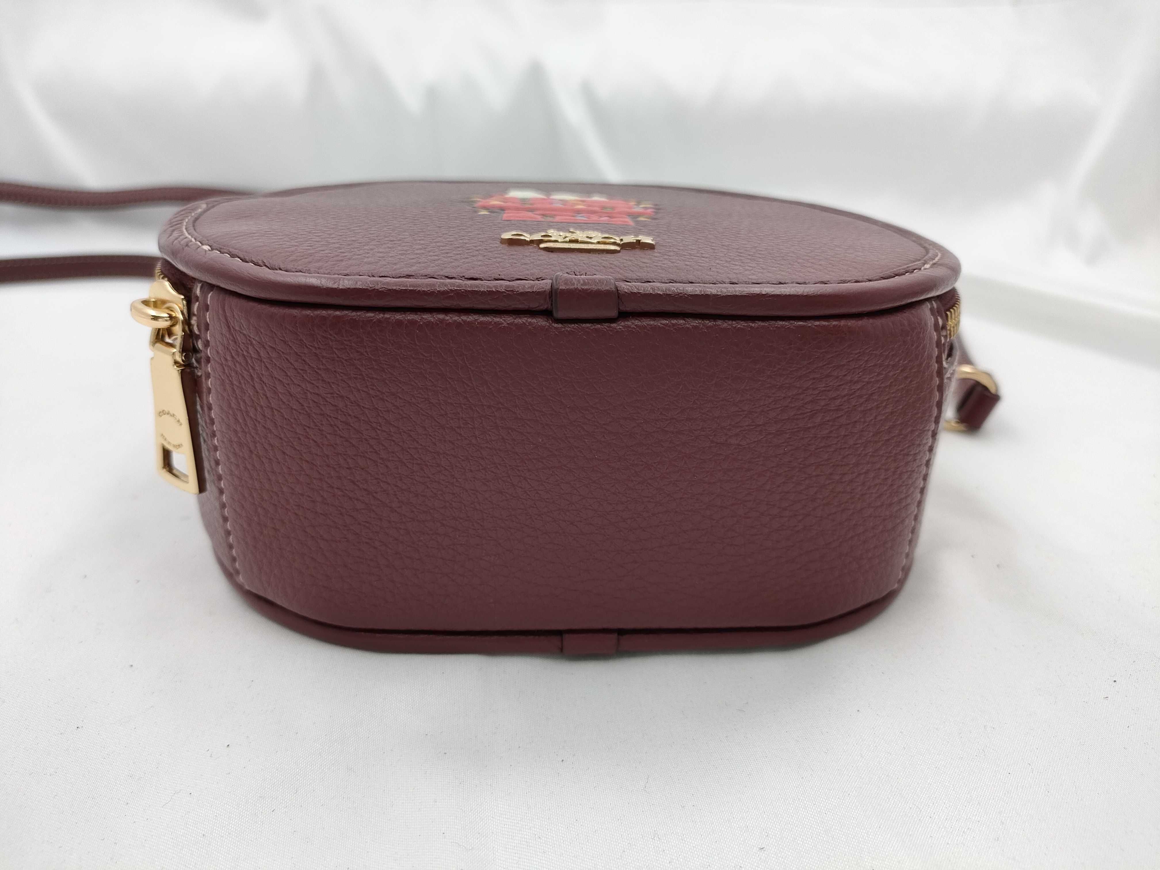 Coach x Peanuts Canteen Crossbody Bag with Snoopy Graphic