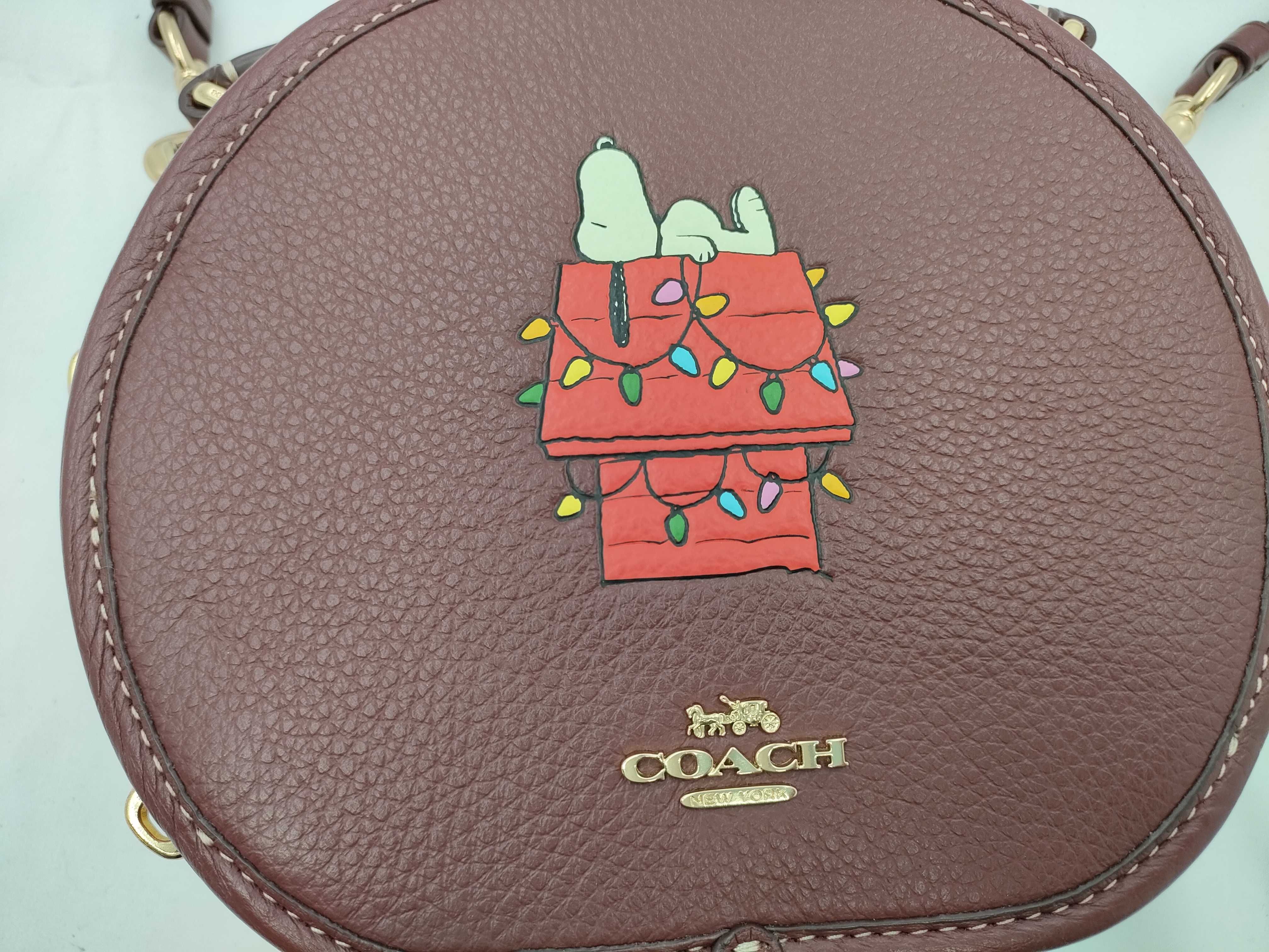 Coach x Peanuts Canteen Crossbody Bag with Snoopy Graphic