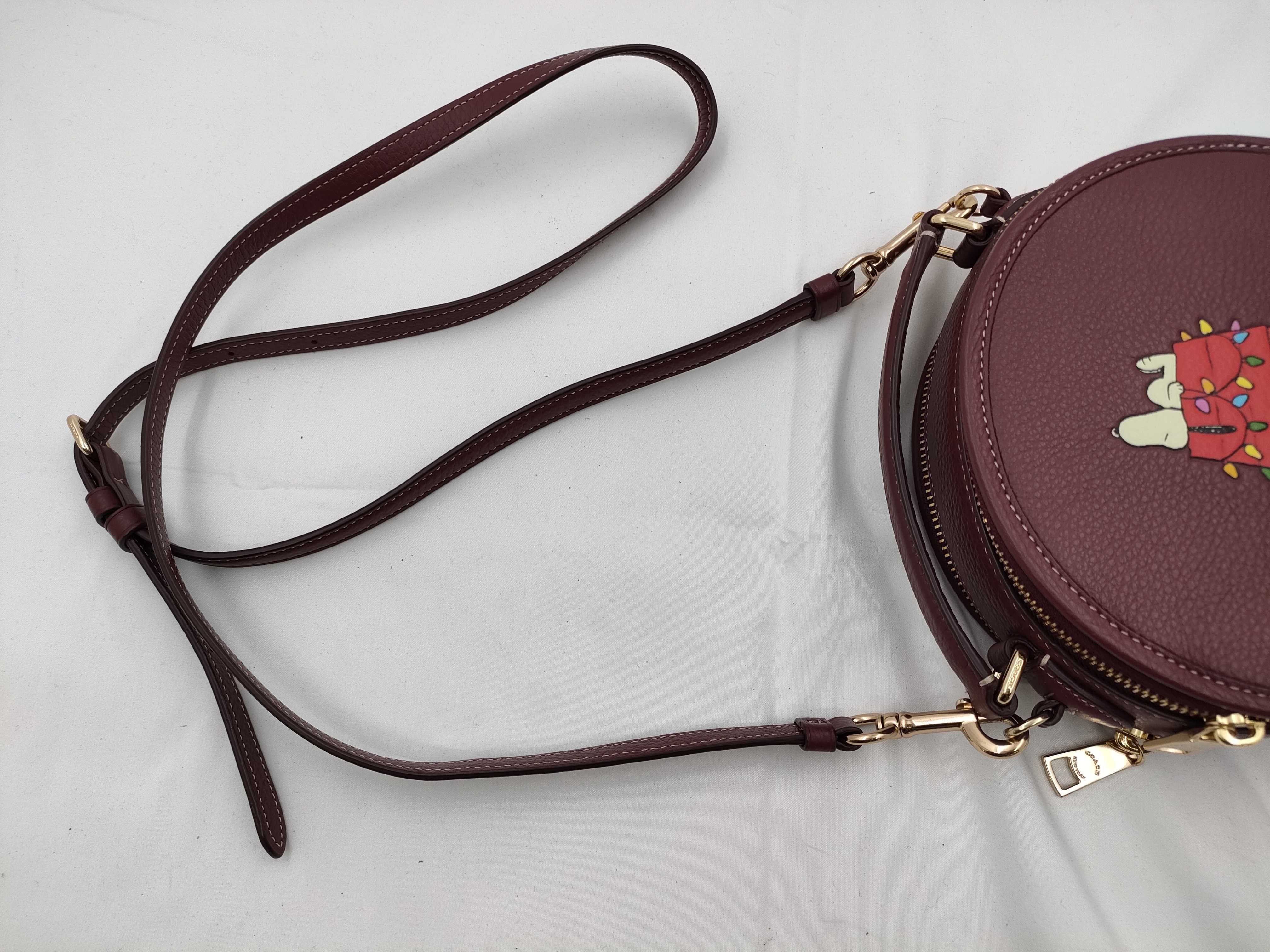 Coach x Peanuts Canteen Crossbody Bag with Snoopy Graphic