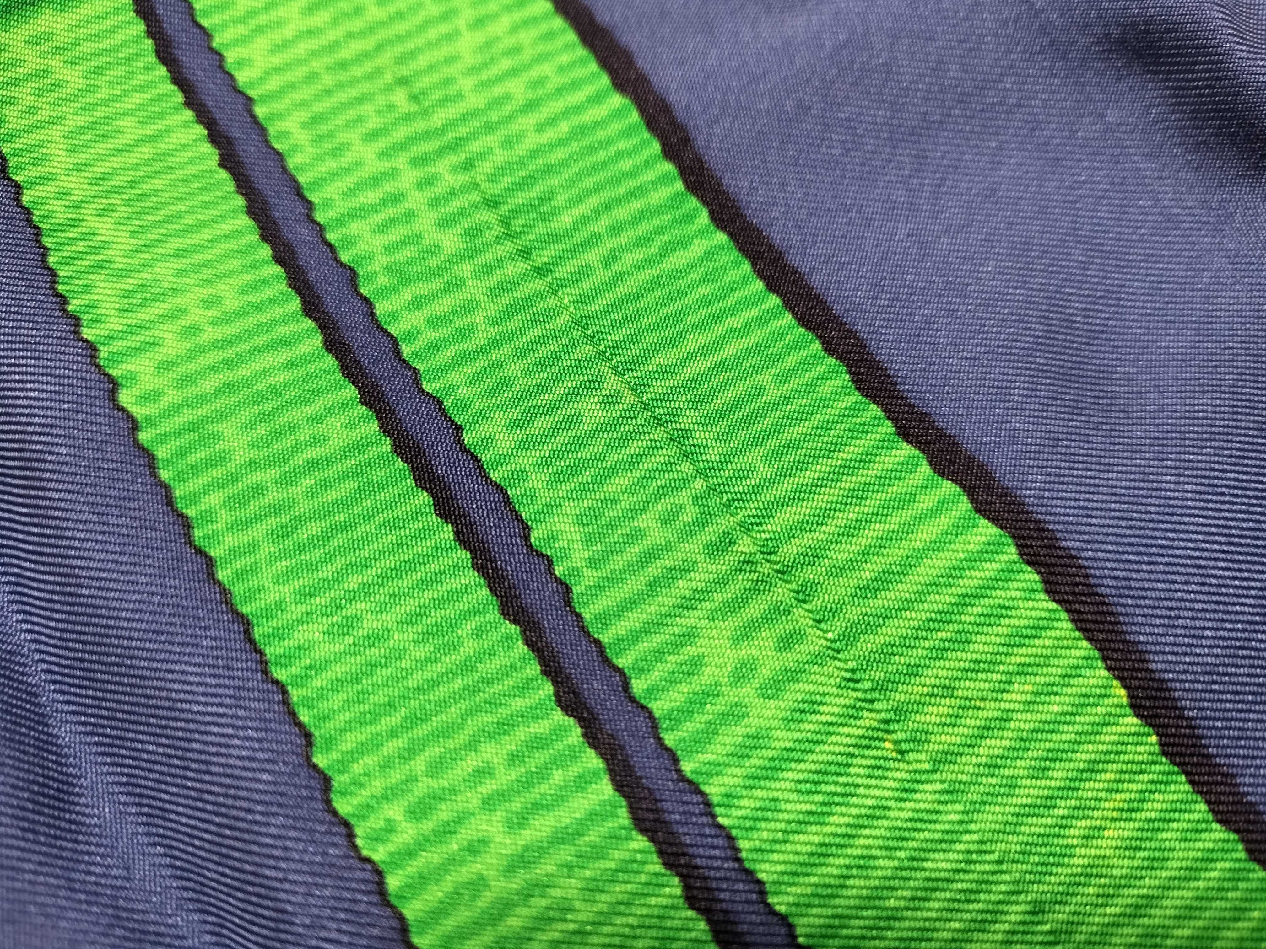 Hermès Grand Manège Silk Scarf by Henri d’Origny