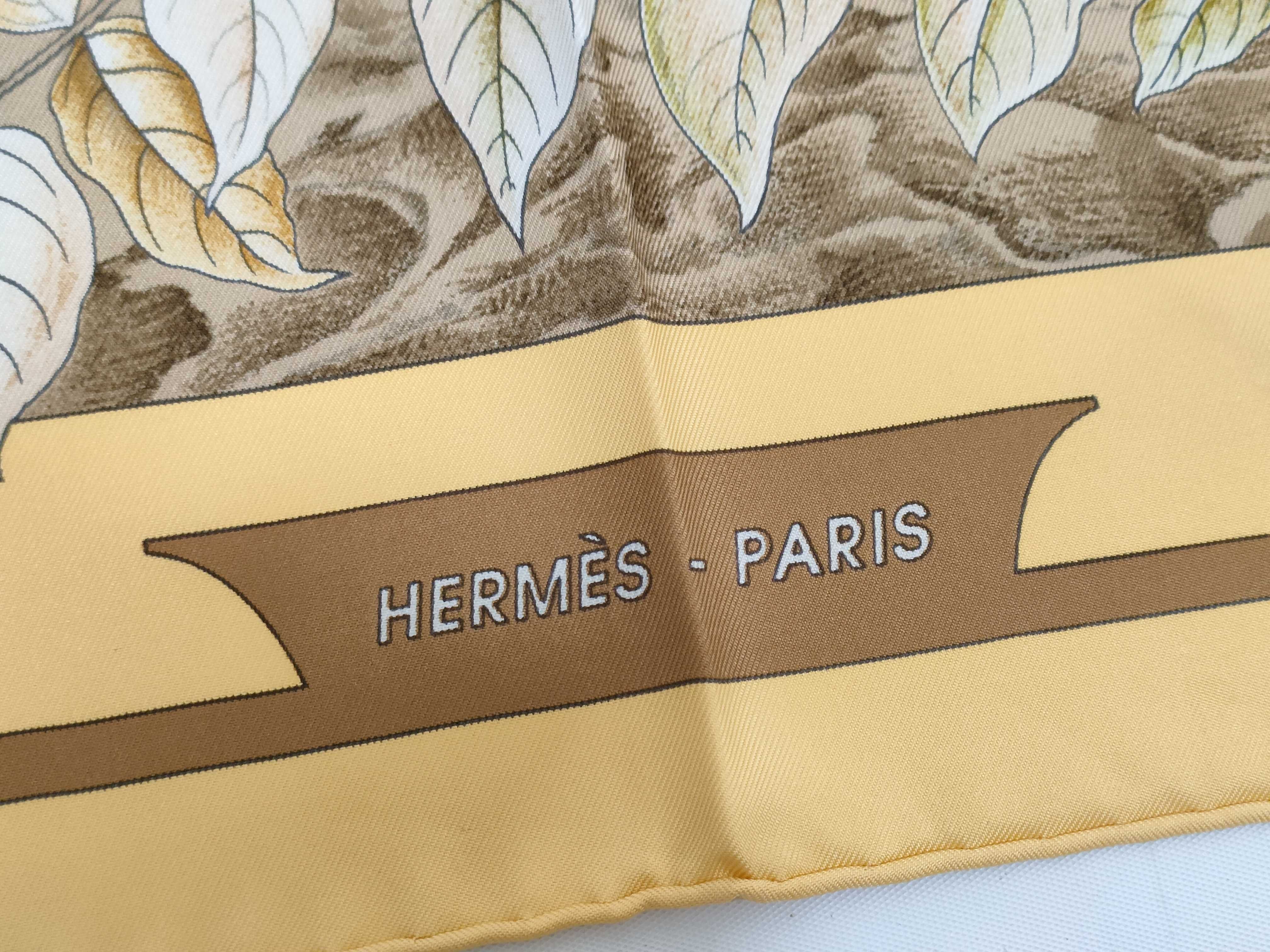 Hermes Casse Noisette 100 Percent Silk Scarf