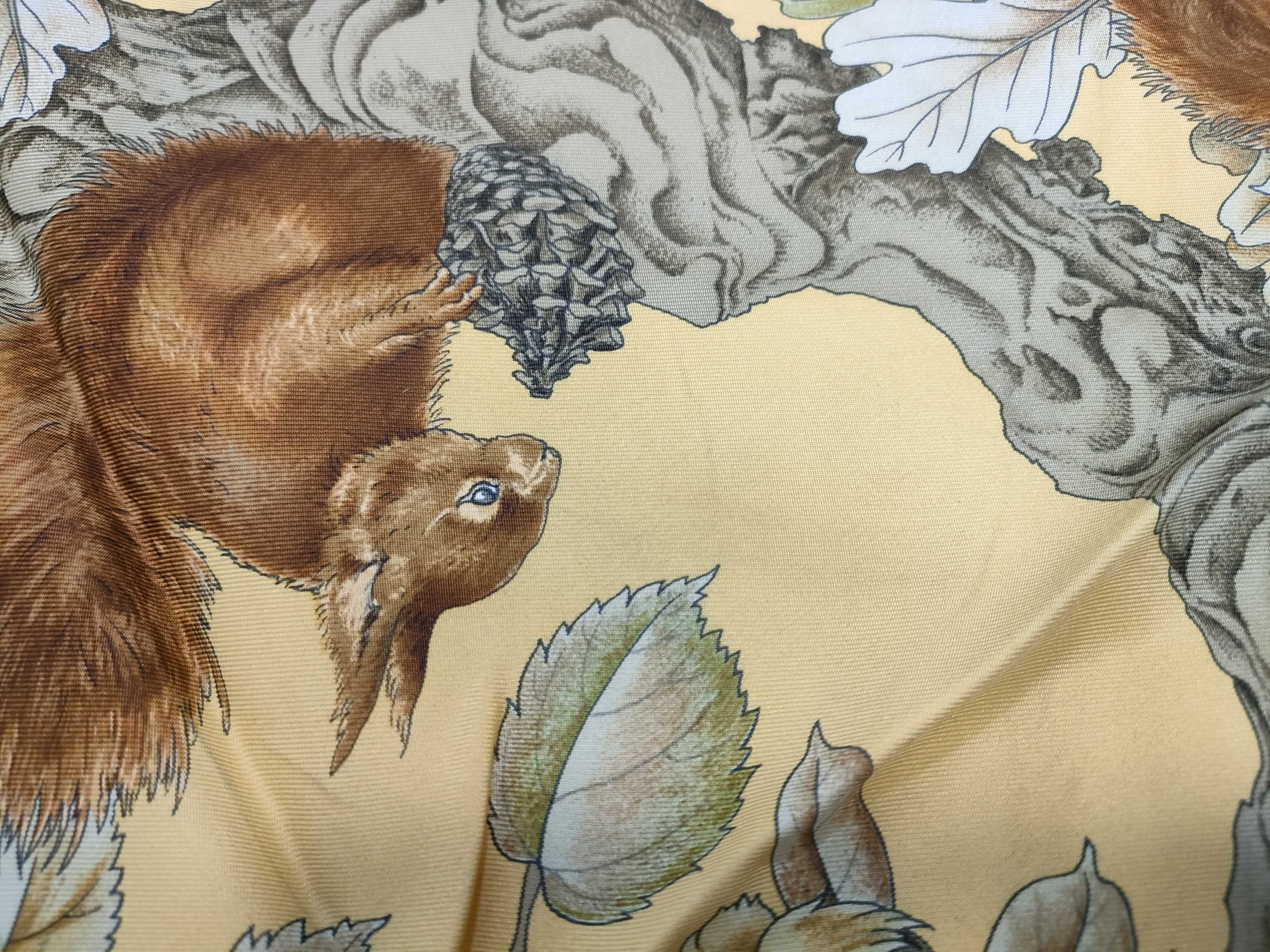 Hermes Casse Noisette 100 Percent Silk Scarf