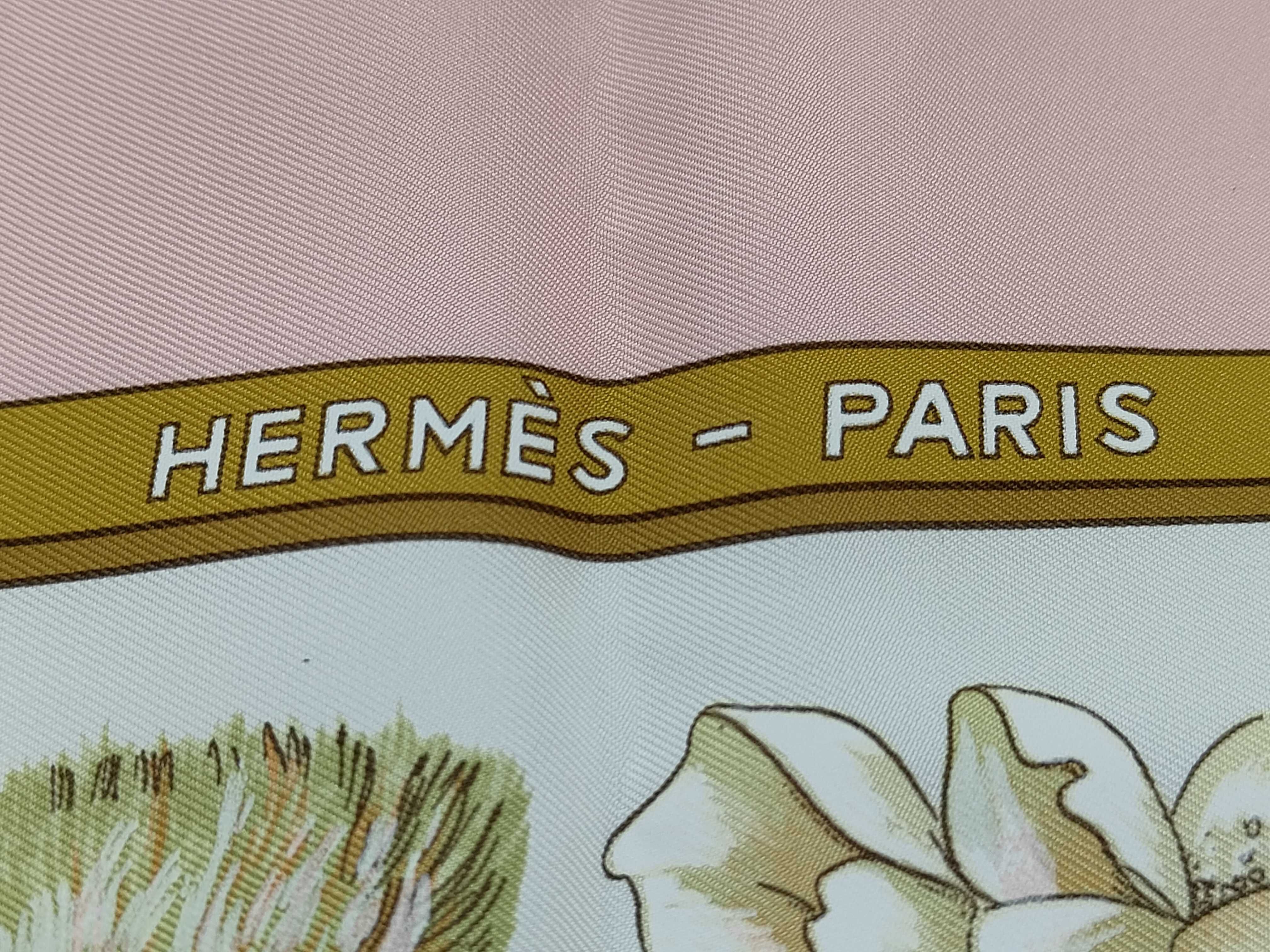 Hermes Regina Silk Scarf by Leila Menchari