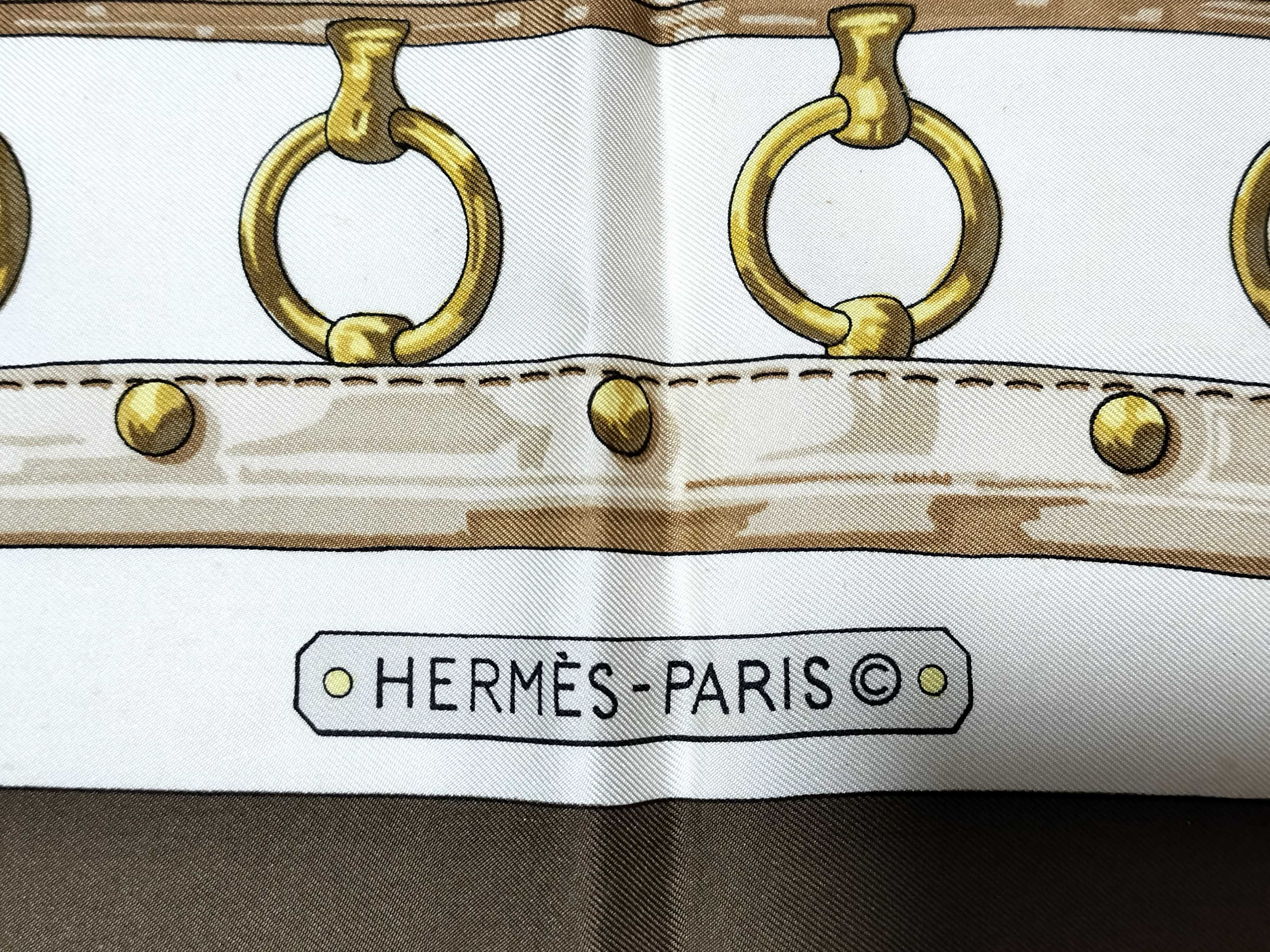 Hermes Aux Champs Silk Scarf