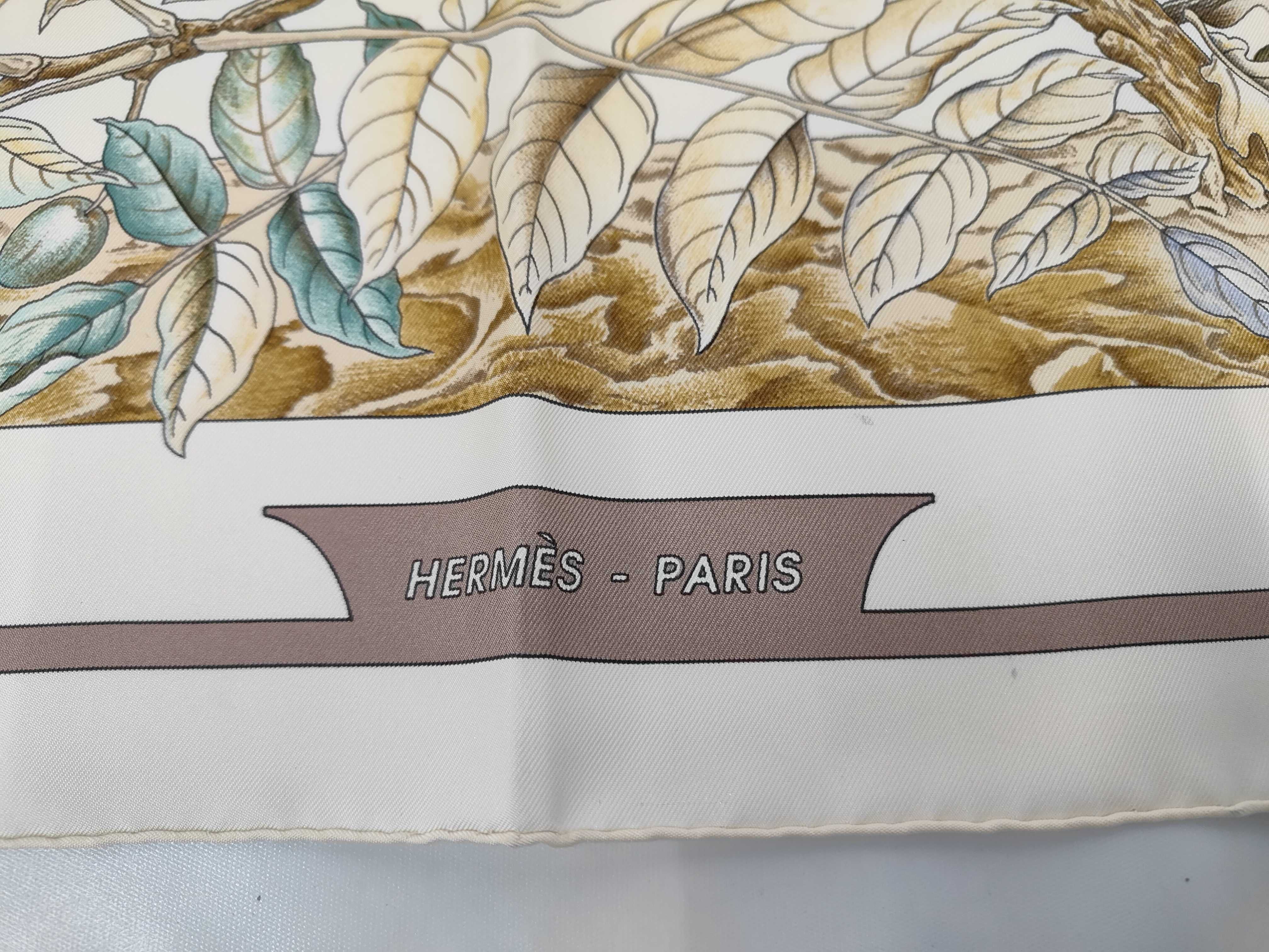 Hermes Casse Noisette Silk Scarf by Daphne Duchesne