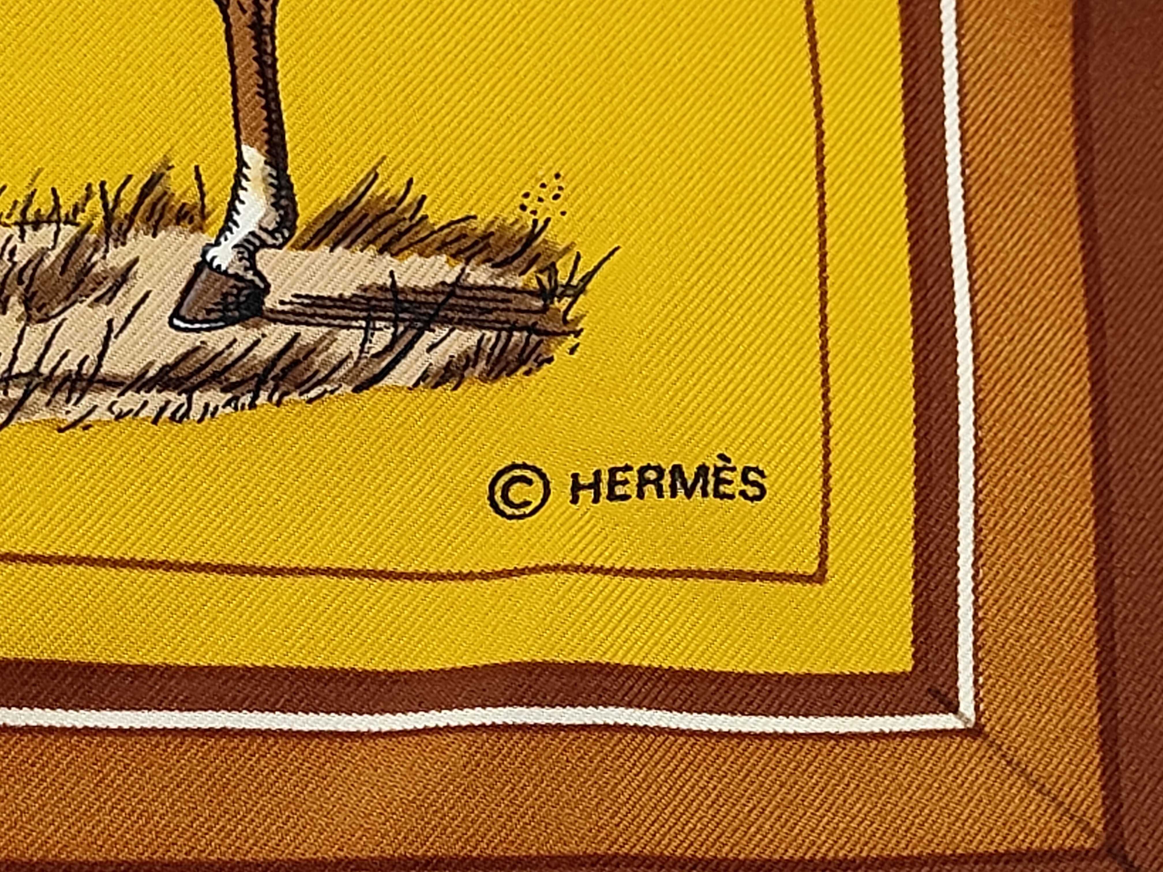 Hermes Couvertures et tenues de Jour Silk Scarf