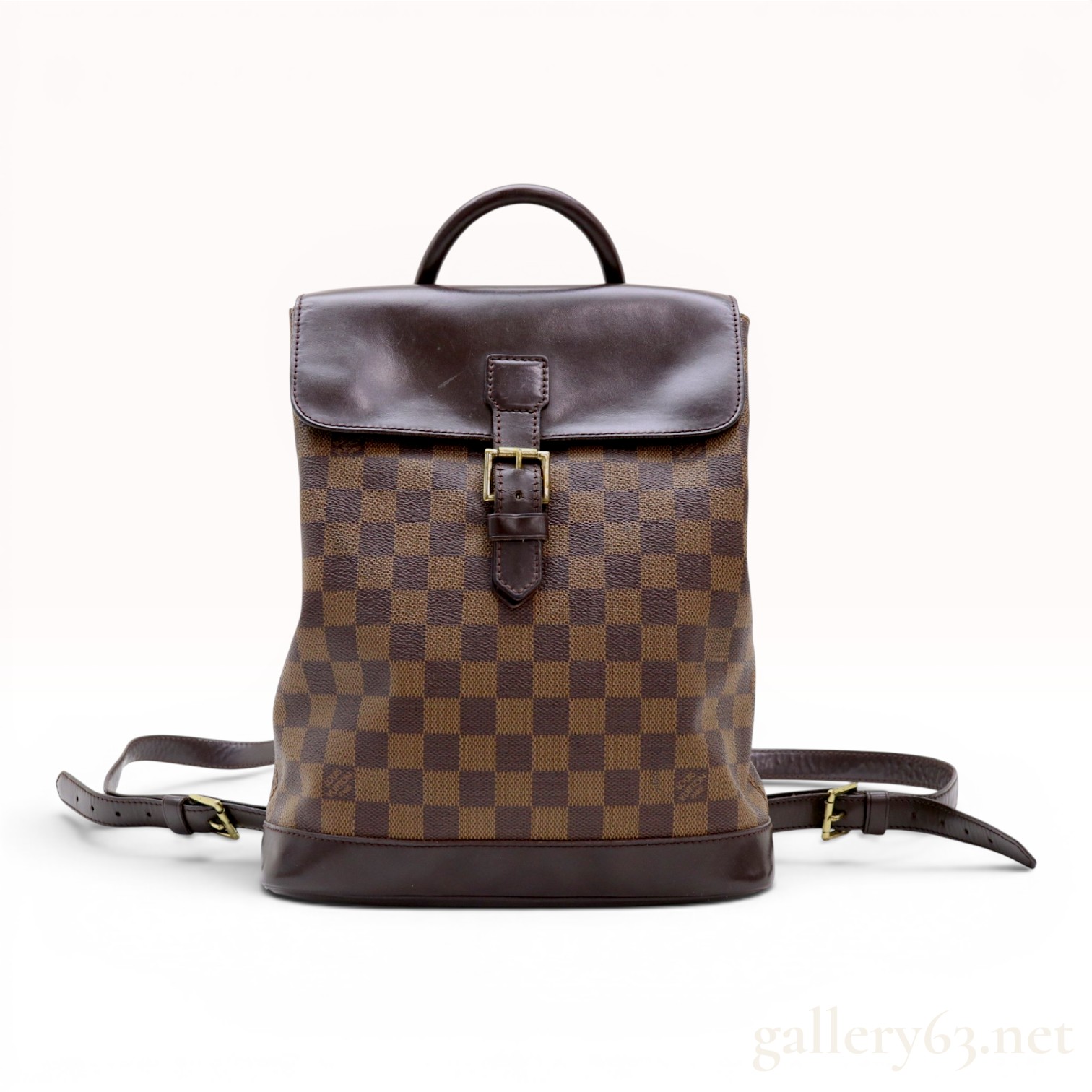 Louis Vuitton Damier Ebene Soho Backpack