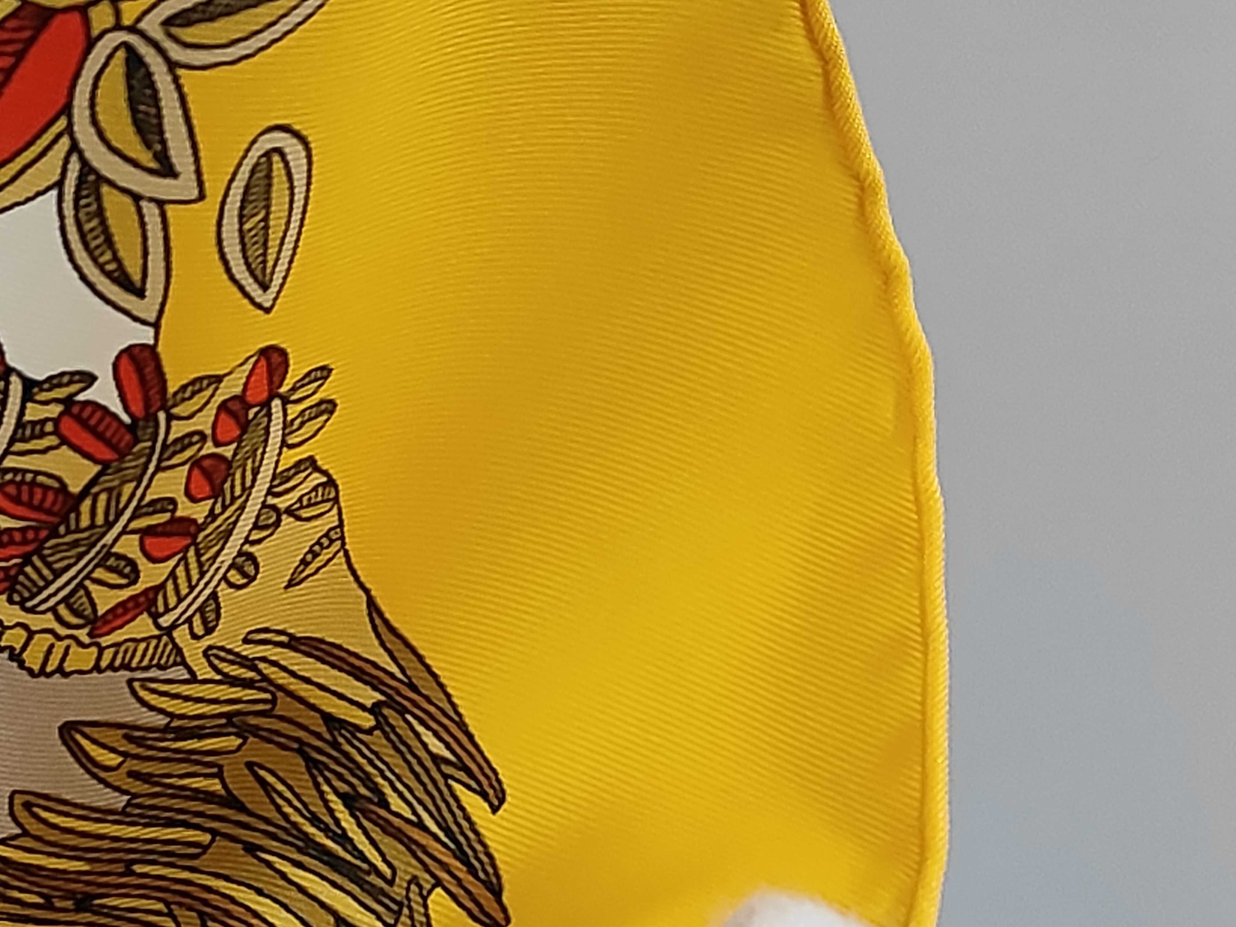 Hermes Le Paradis du Roy Silk Scarf