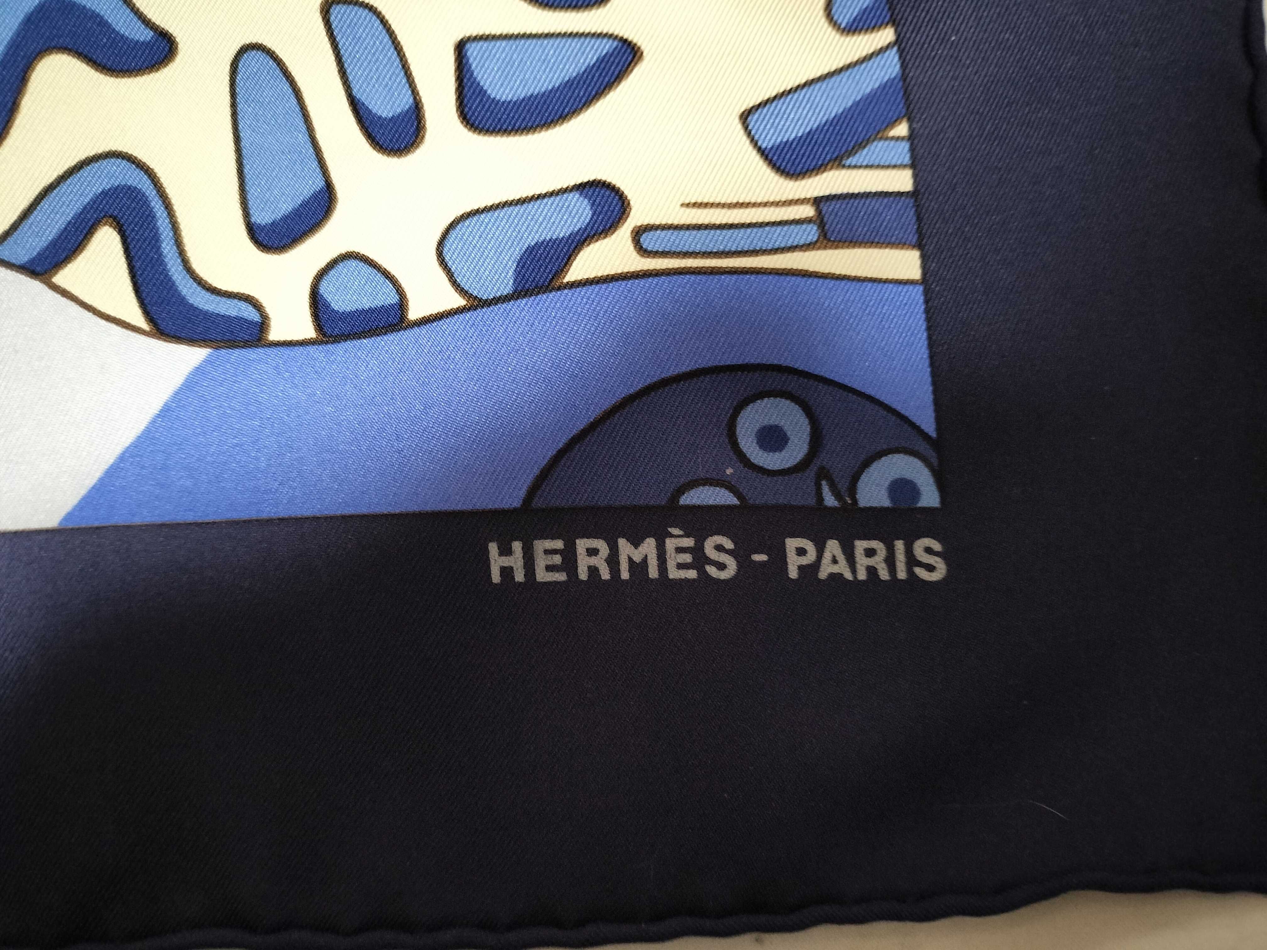 Hermes Grands Fonds detail Silk Scarf