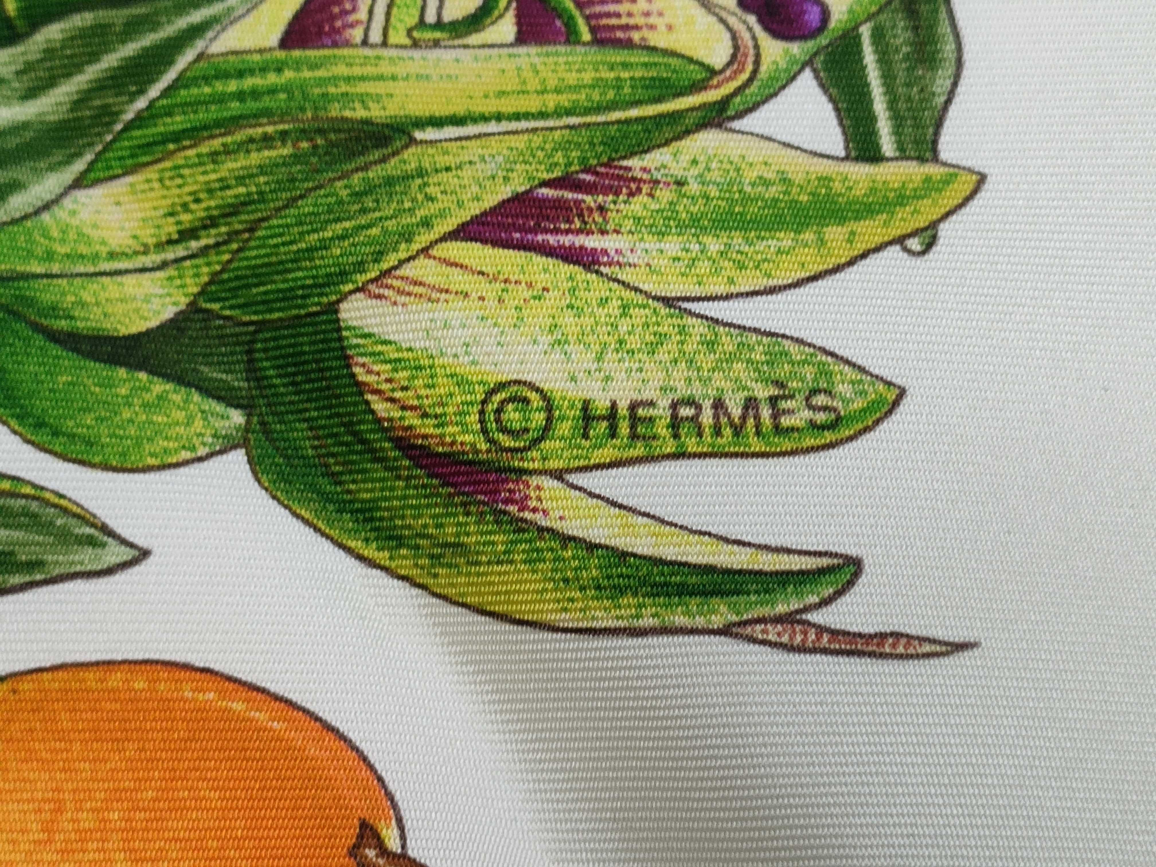 Hermes Passiflores Silk Scarf