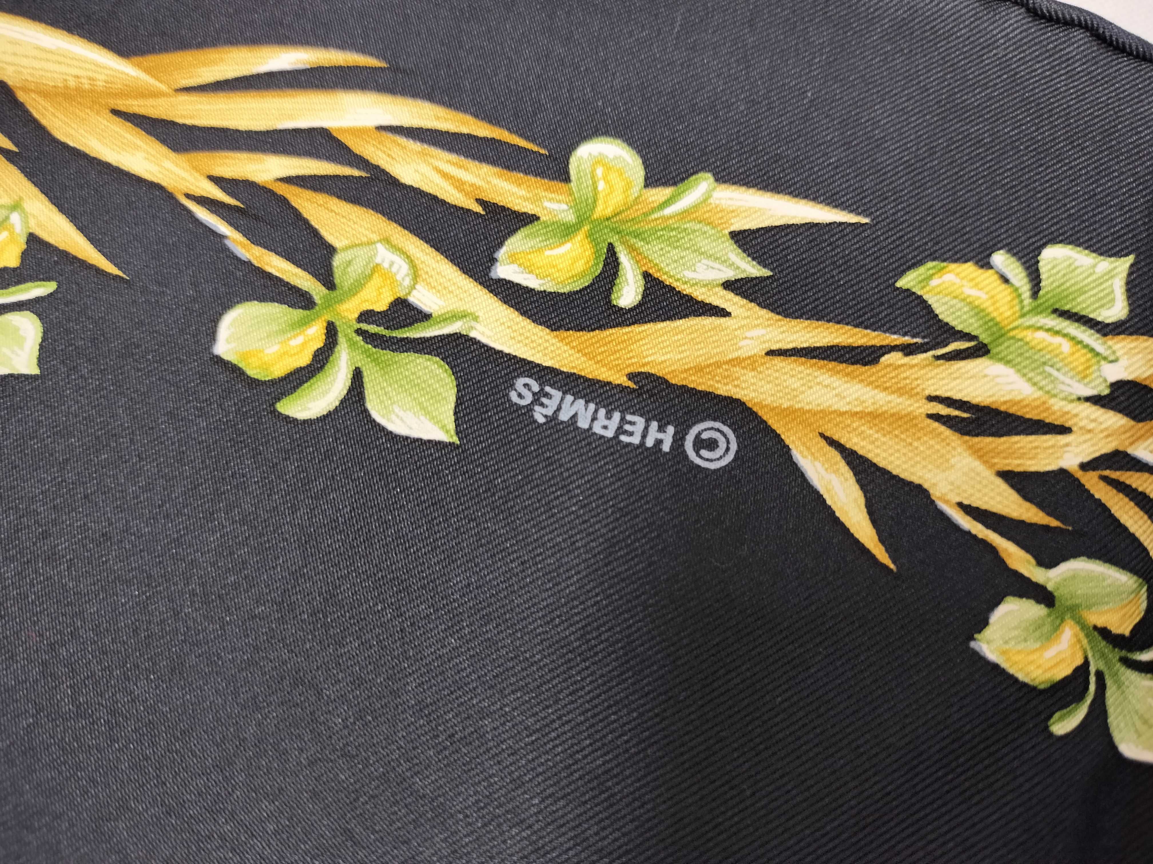 Hermes Amazone 90 cm Silk Scarf by Philippe Ledoux