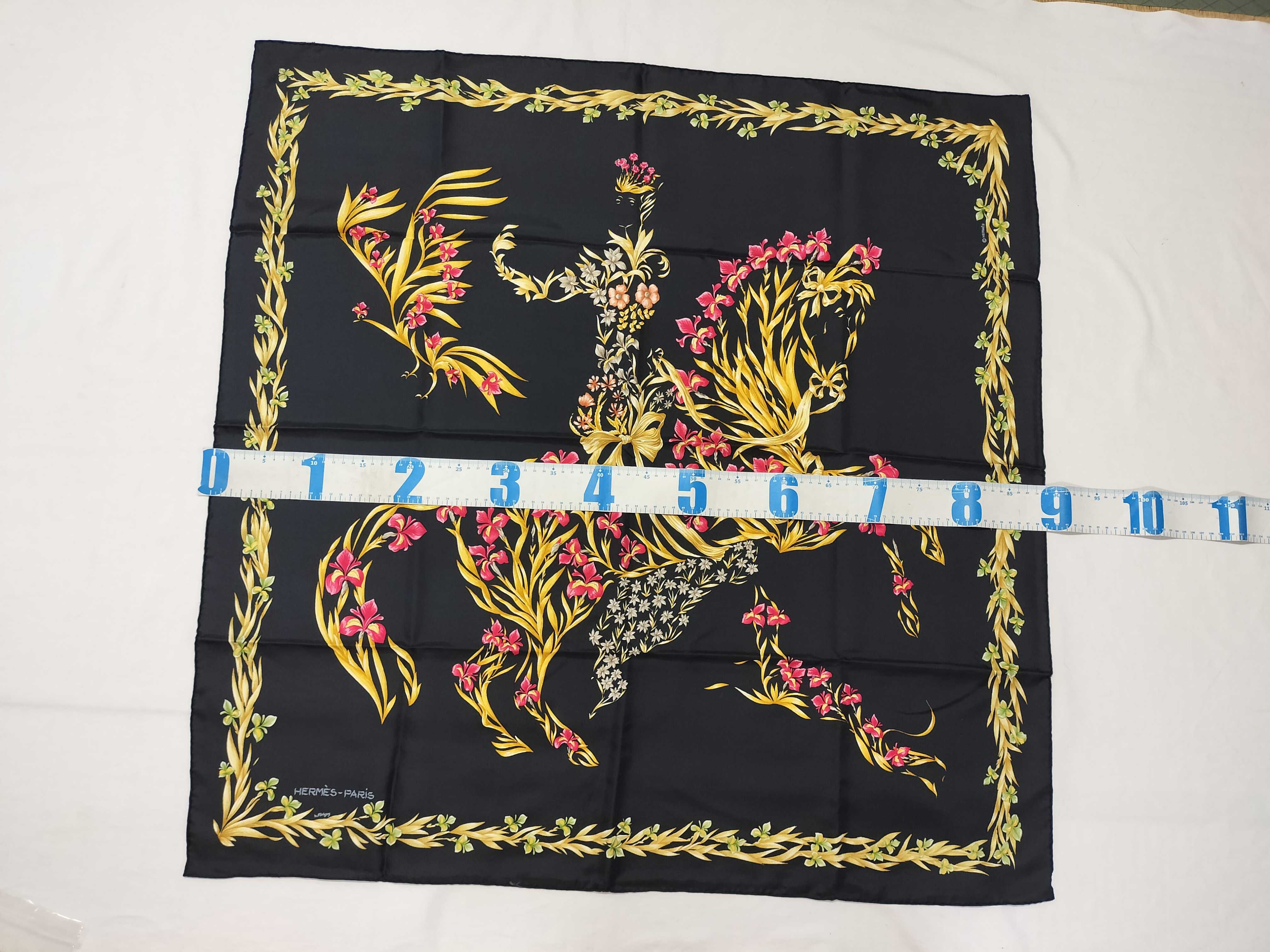 Hermes Amazone 90 cm Silk Scarf by Philippe Ledoux