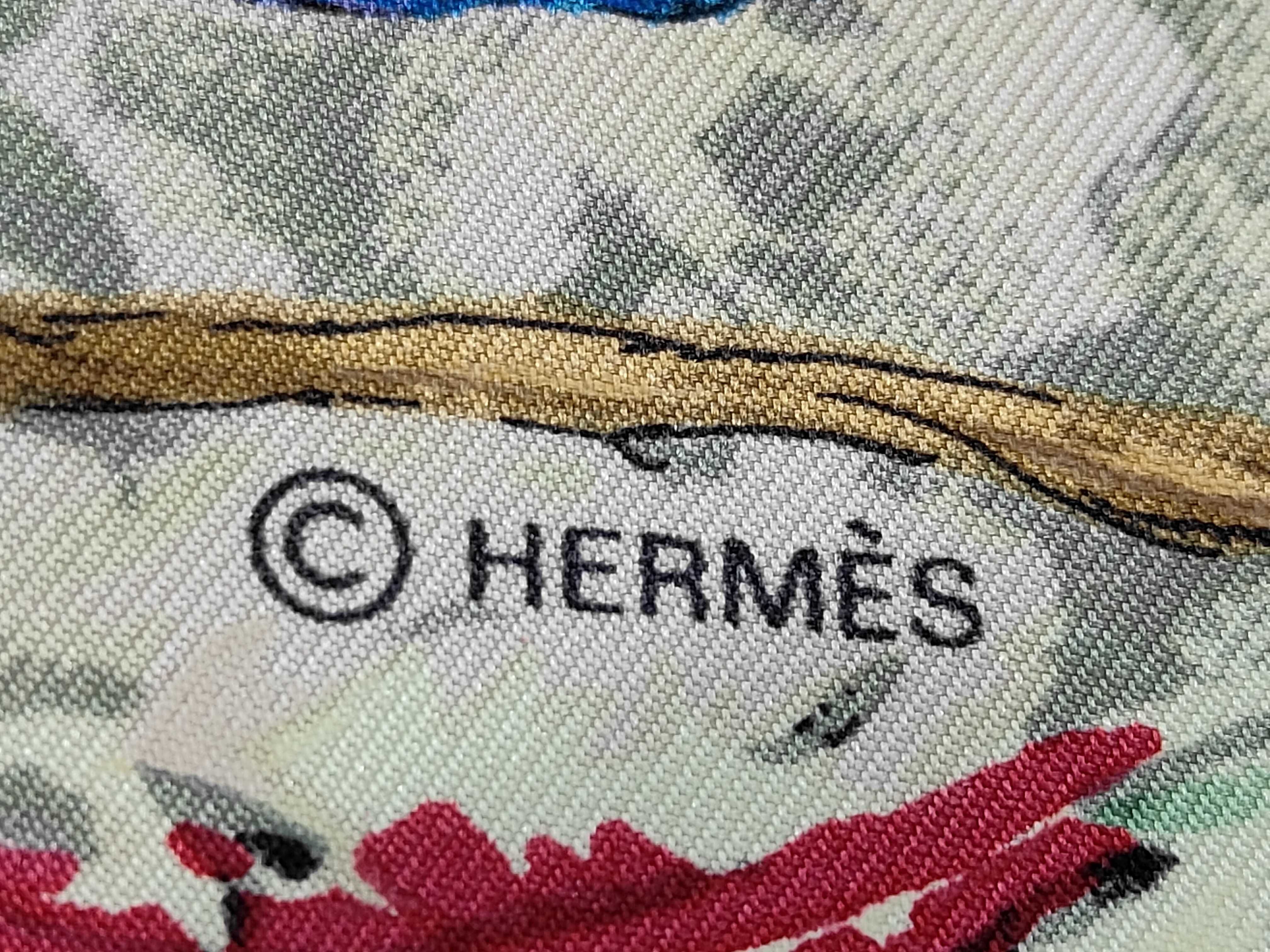 Hermes Equateur Silk Scarf by Robert Dallet