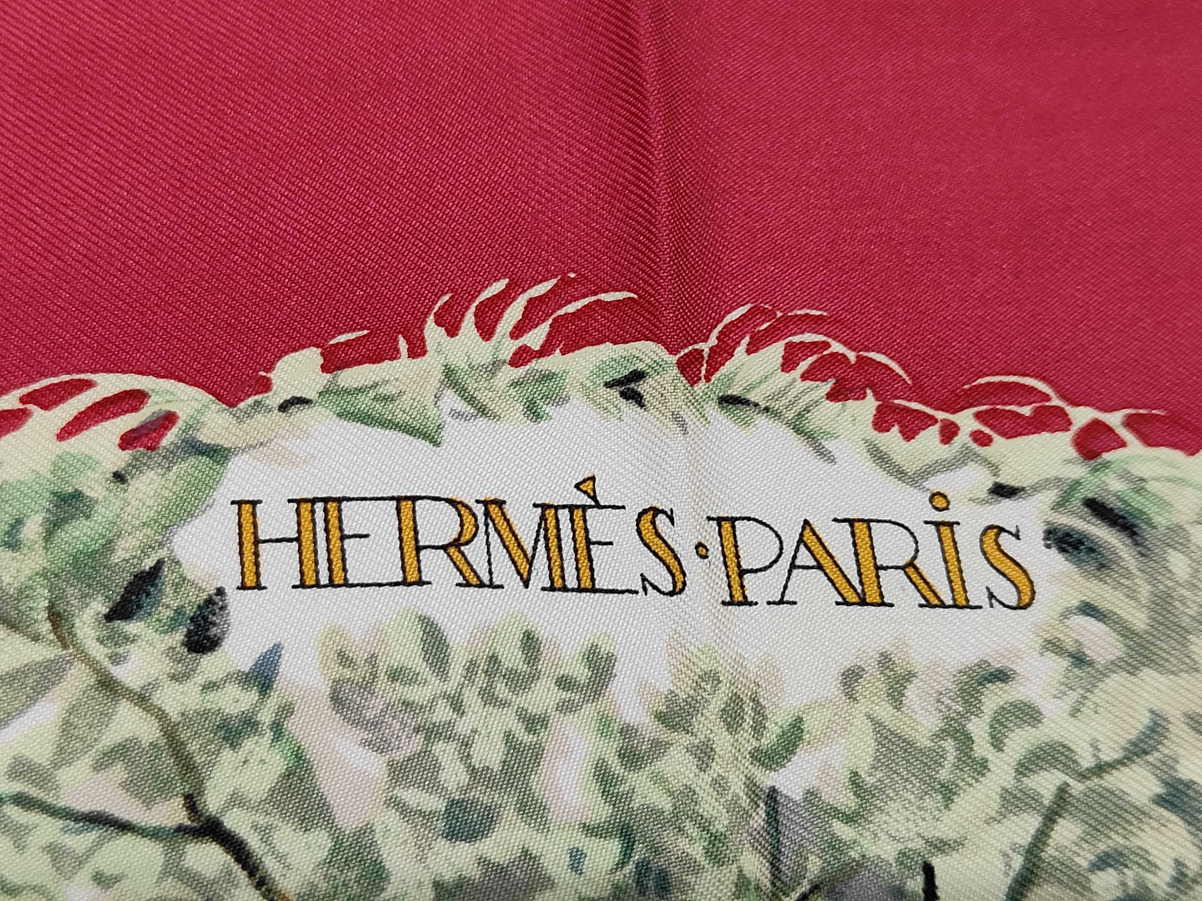 Hermes Equateur Silk Scarf by Robert Dallet